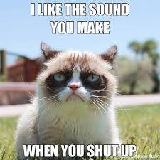 Grumpy Cat